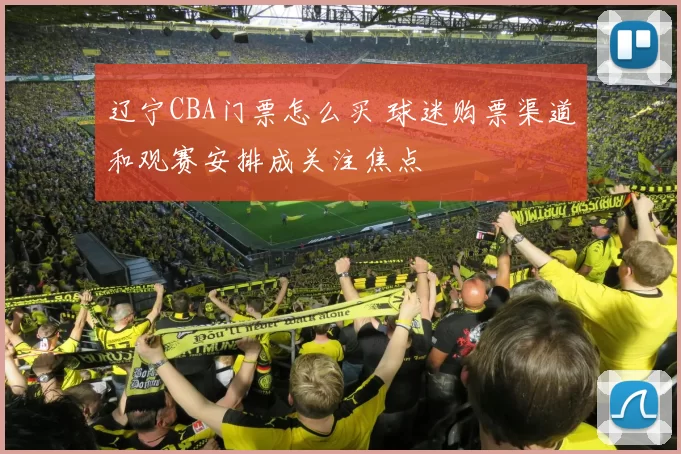 辽宁CBA门票怎么买 球迷购票渠道和观赛安排成关注焦点
